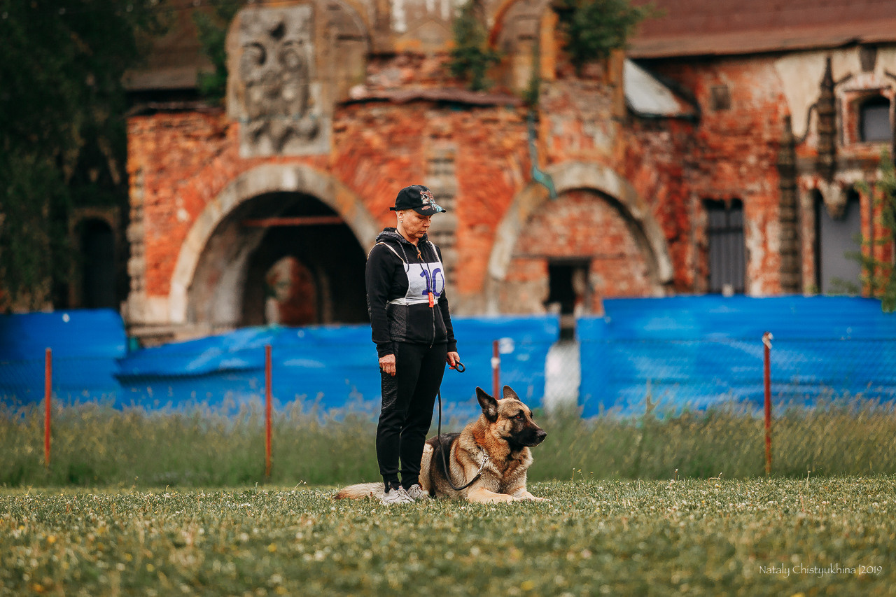 Соревнования БРР. Фотограф-анималист Наталия Чистюхина в г. Сосновый Бор и ЛО