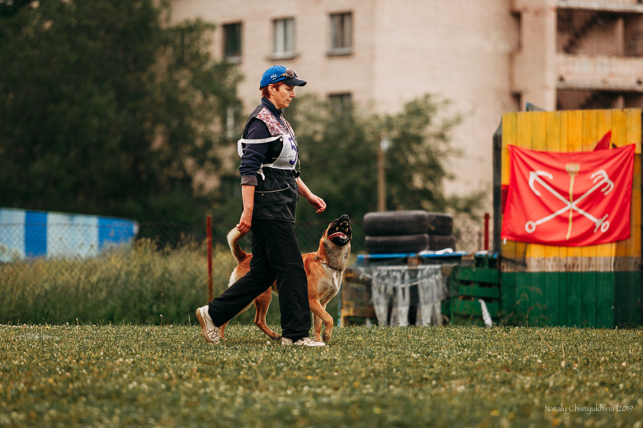 Соревнования БРР. Фотограф-анималист Наталия Чистюхина в г. Сосновый Бор и ЛО