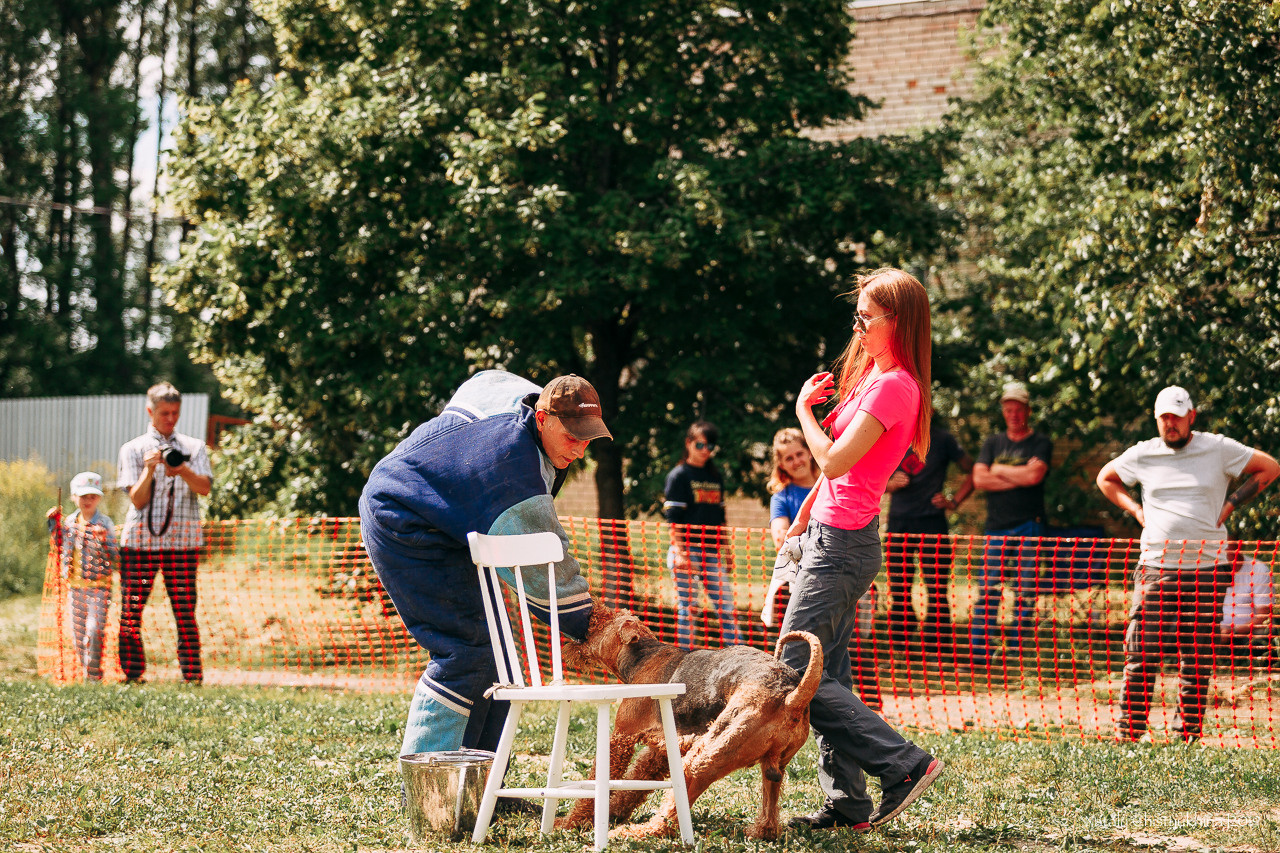 Соревнования по мондьорингу. Фотограф-анималист Наталия Чистюхина в г. Сосновый Бор и ЛО