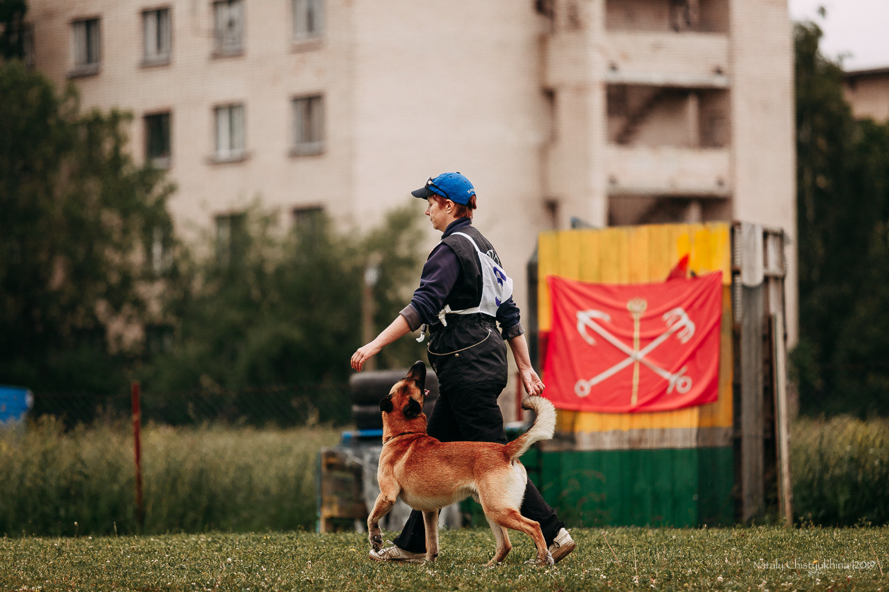 Соревнования БРР. Фотограф-анималист Наталия Чистюхина в г. Сосновый Бор и ЛО
