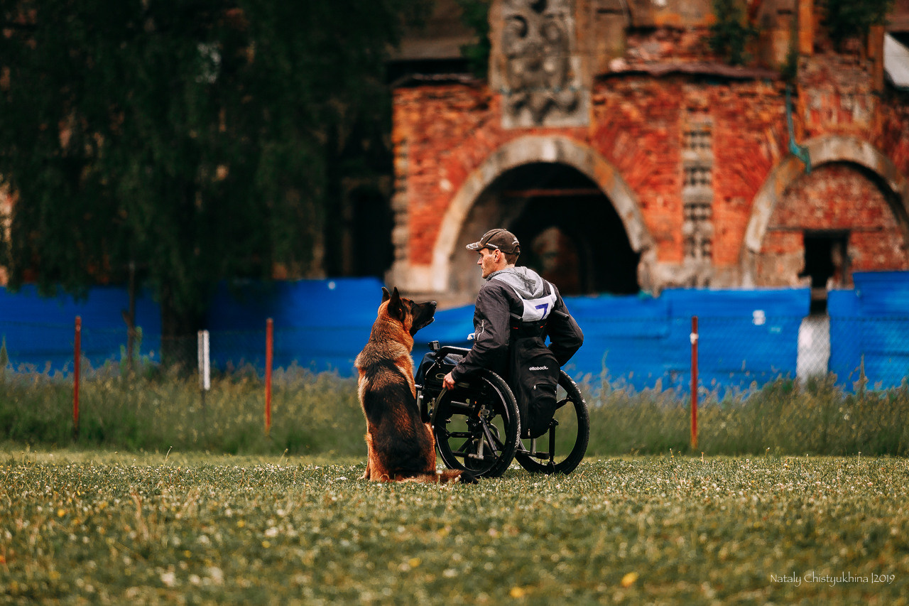 Соревнования БРР. Фотограф-анималист Наталия Чистюхина в г. Сосновый Бор и ЛО