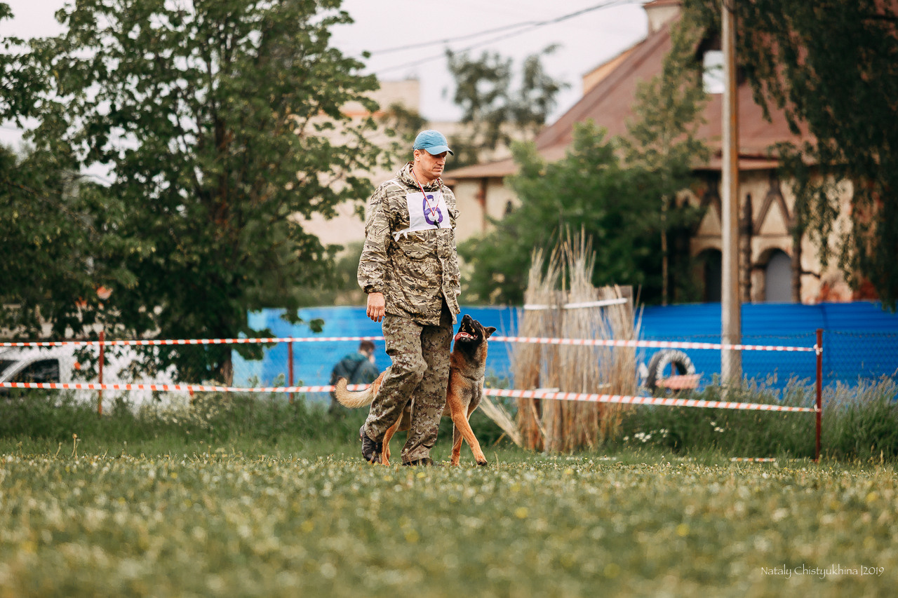 Соревнования БРР. Фотограф-анималист Наталия Чистюхина в г. Сосновый Бор и ЛО