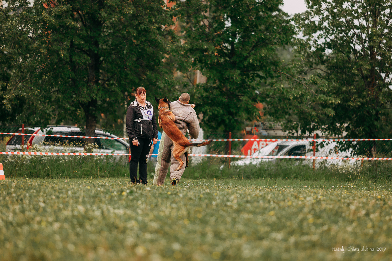 Соревнования БРР. Фотограф-анималист Наталия Чистюхина в г. Сосновый Бор и ЛО