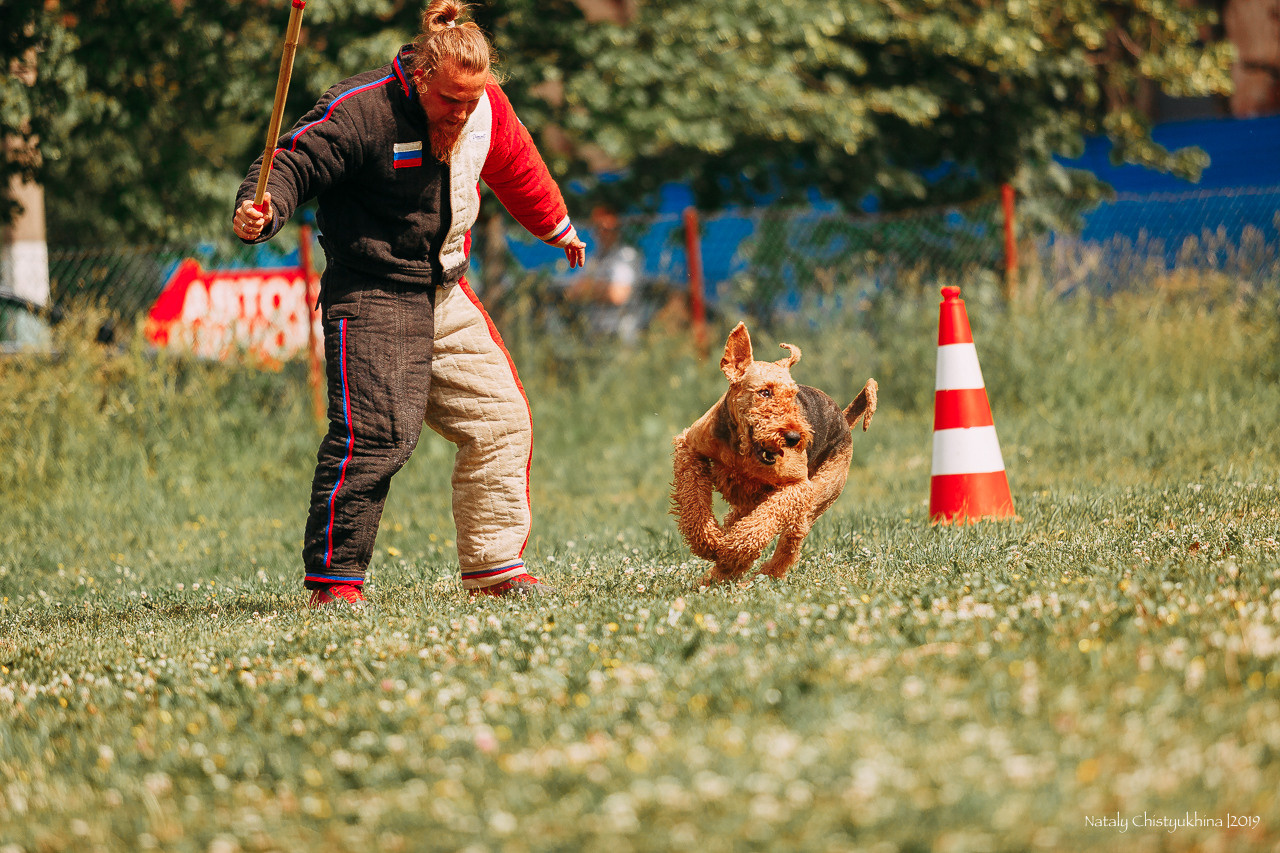 Соревнования по мондьорингу. Фотограф-анималист Наталия Чистюхина в г. Сосновый Бор и ЛО