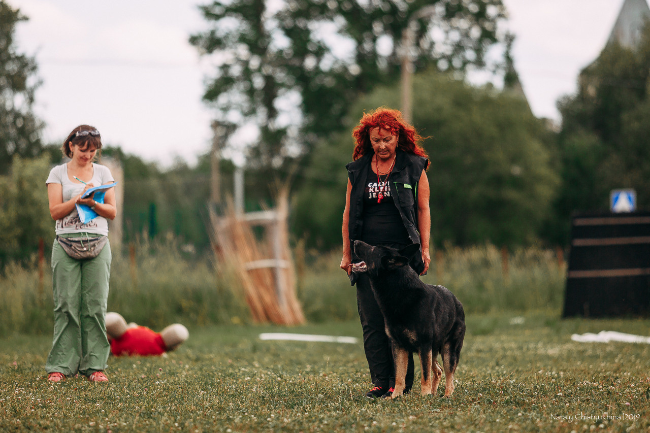 Соревнования по мондьорингу. Фотограф-анималист Наталия Чистюхина в г. Сосновый Бор и ЛО
