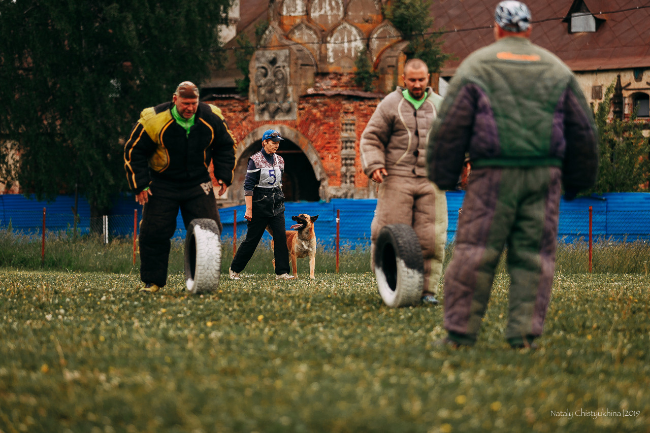 Соревнования БРР. Фотограф-анималист Наталия Чистюхина в г. Сосновый Бор и ЛО