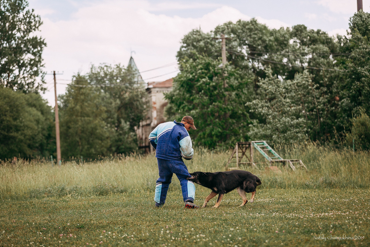 Соревнования по мондьорингу. Фотограф-анималист Наталия Чистюхина в г. Сосновый Бор и ЛО