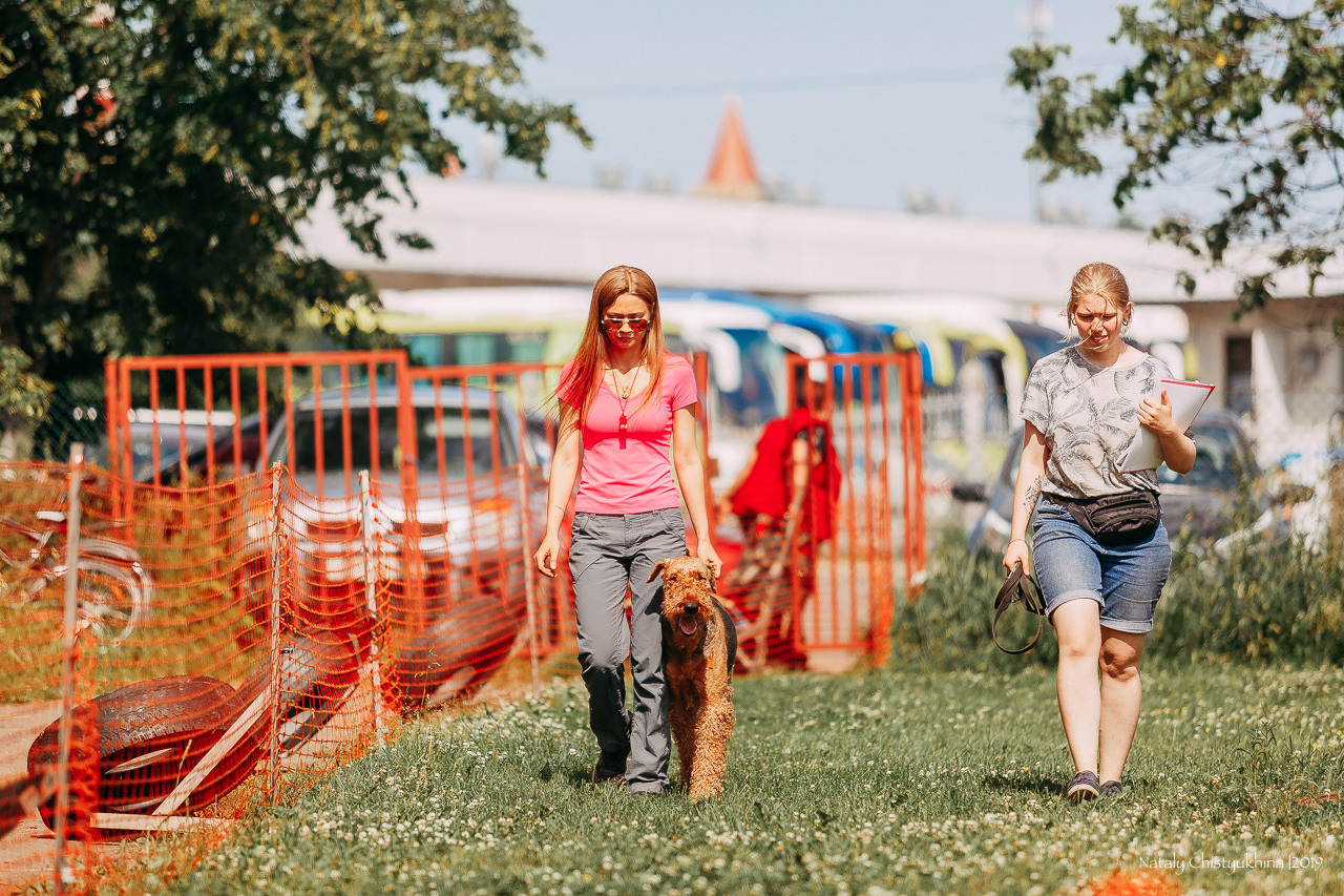 Соревнования по мондьорингу. Фотограф-анималист Наталия Чистюхина в г. Сосновый Бор и ЛО