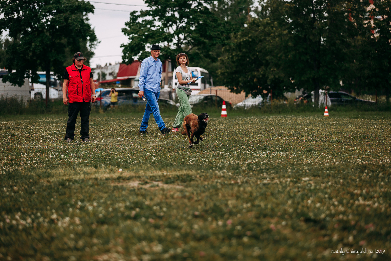 Соревнования по мондьорингу. Фотограф-анималист Наталия Чистюхина в г. Сосновый Бор и ЛО