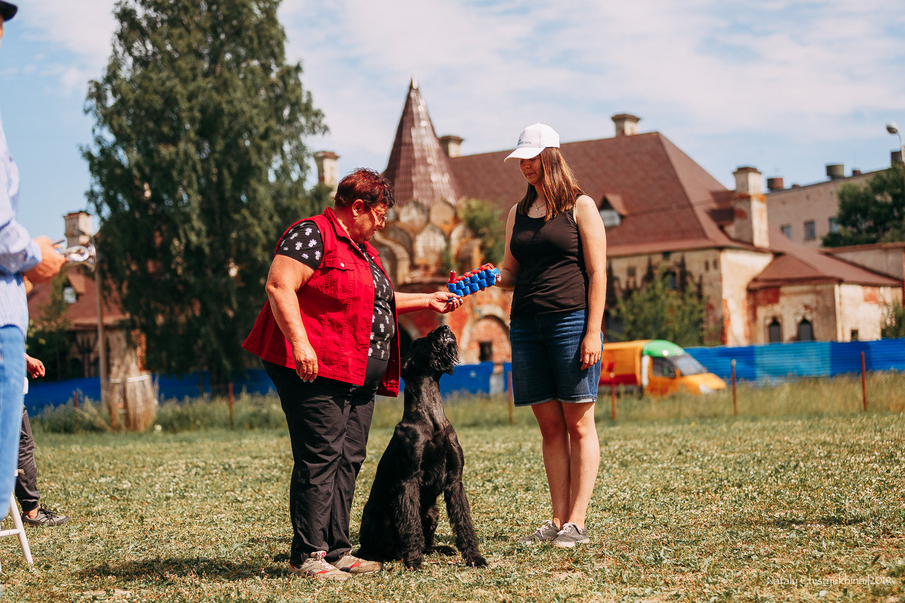 Соревнования по мондьорингу. Фотограф-анималист Наталия Чистюхина в г. Сосновый Бор и ЛО