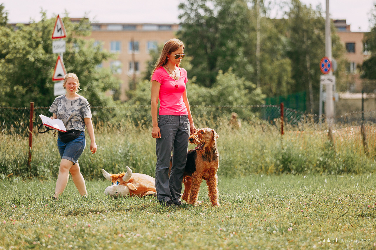 Соревнования по мондьорингу. Фотограф-анималист Наталия Чистюхина в г. Сосновый Бор и ЛО