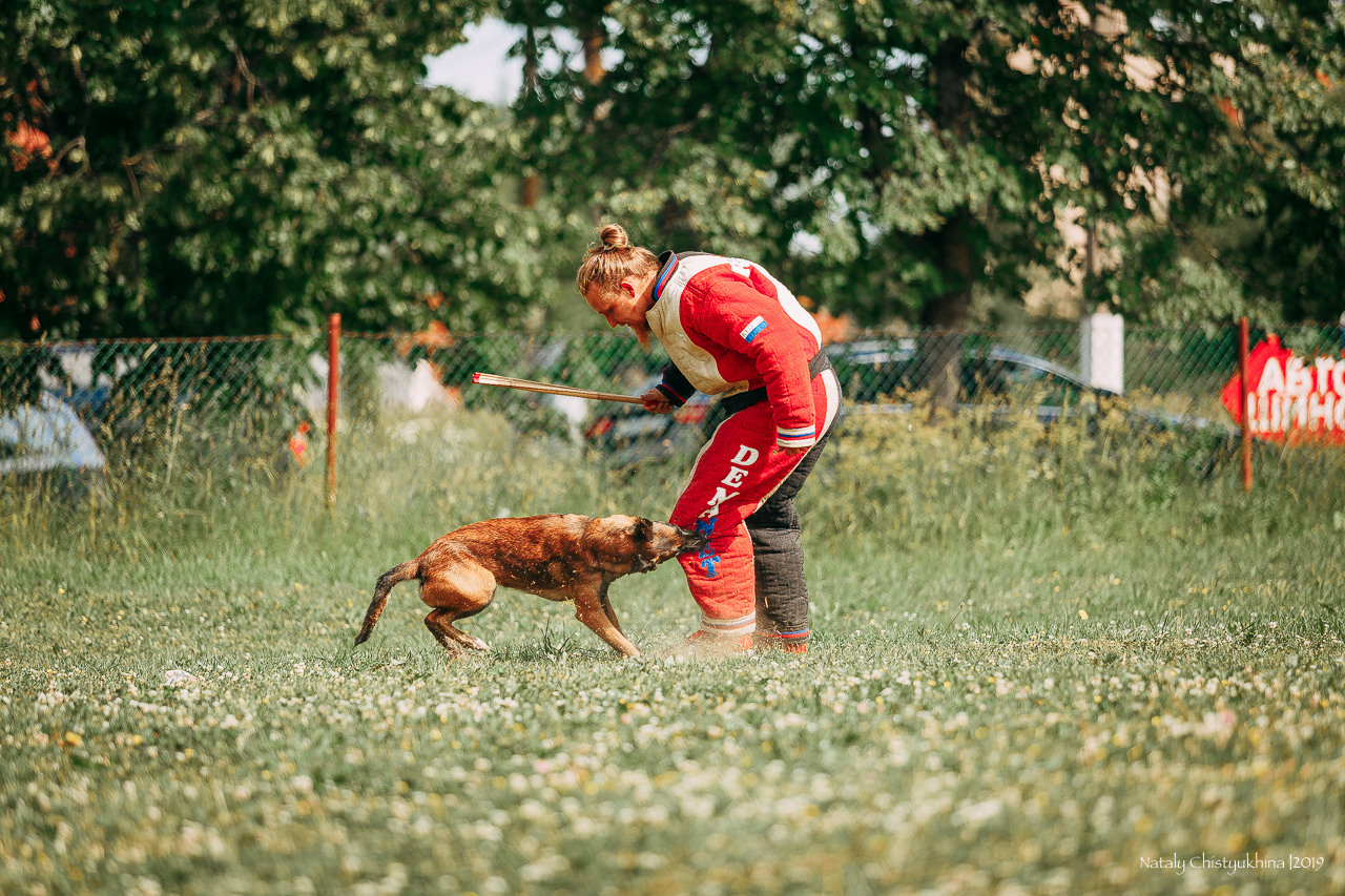 Соревнования по мондьорингу. Фотограф-анималист Наталия Чистюхина в г. Сосновый Бор и ЛО