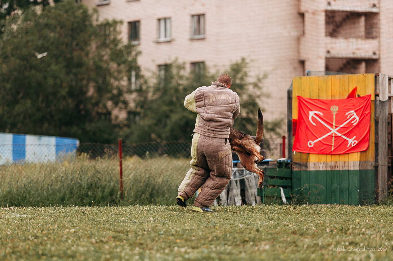 Соревнования БРР. Фотограф-анималист Наталия Чистюхина в г. Сосновый Бор и ЛО
