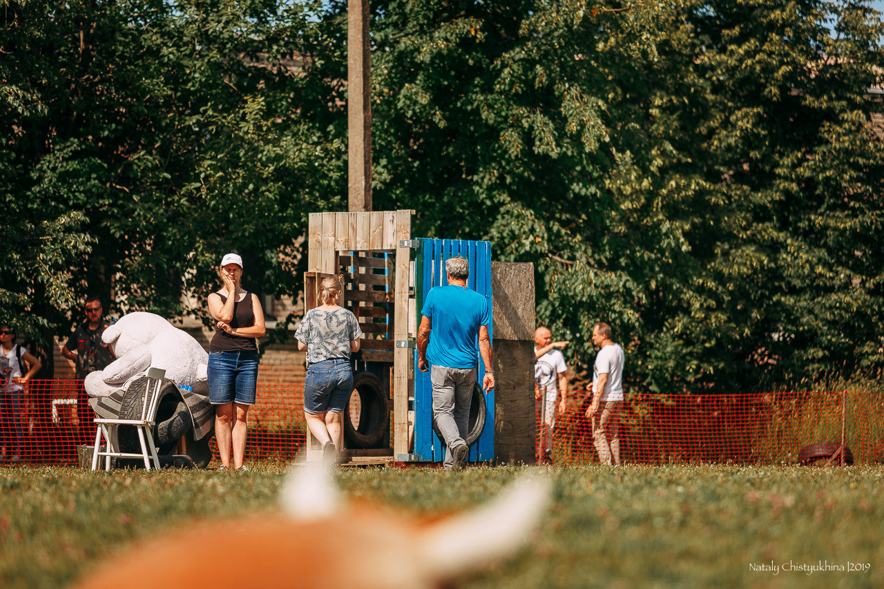 Соревнования по мондьорингу. Фотограф-анималист Наталия Чистюхина в г. Сосновый Бор и ЛО