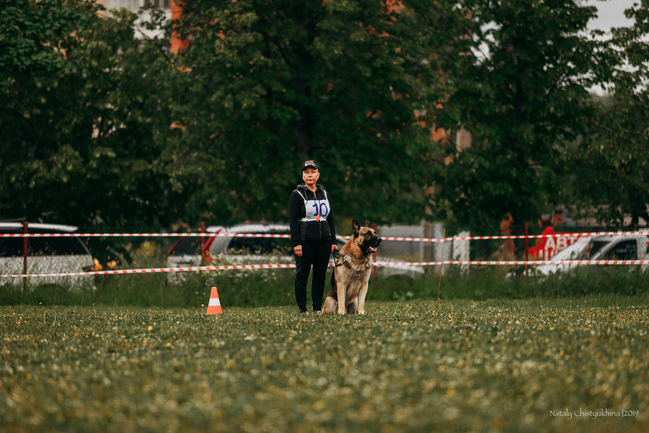Соревнования БРР. Фотограф-анималист Наталия Чистюхина в г. Сосновый Бор и ЛО