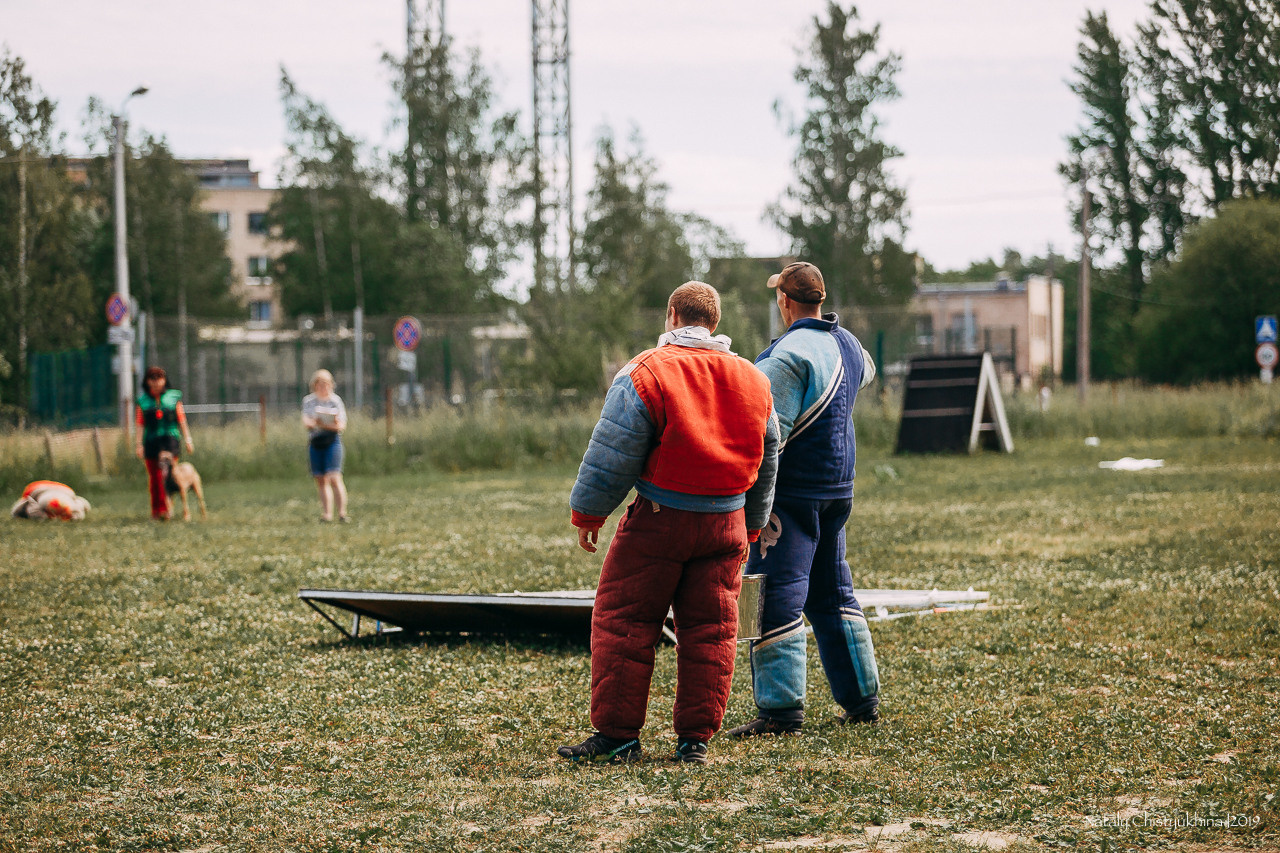 Соревнования по мондьорингу. Фотограф-анималист Наталия Чистюхина в г. Сосновый Бор и ЛО
