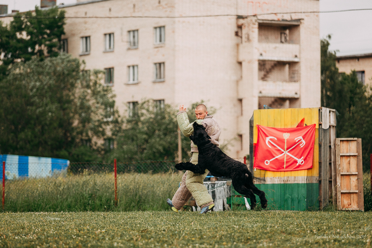Соревнования БРР. Фотограф-анималист Наталия Чистюхина в г. Сосновый Бор и ЛО
