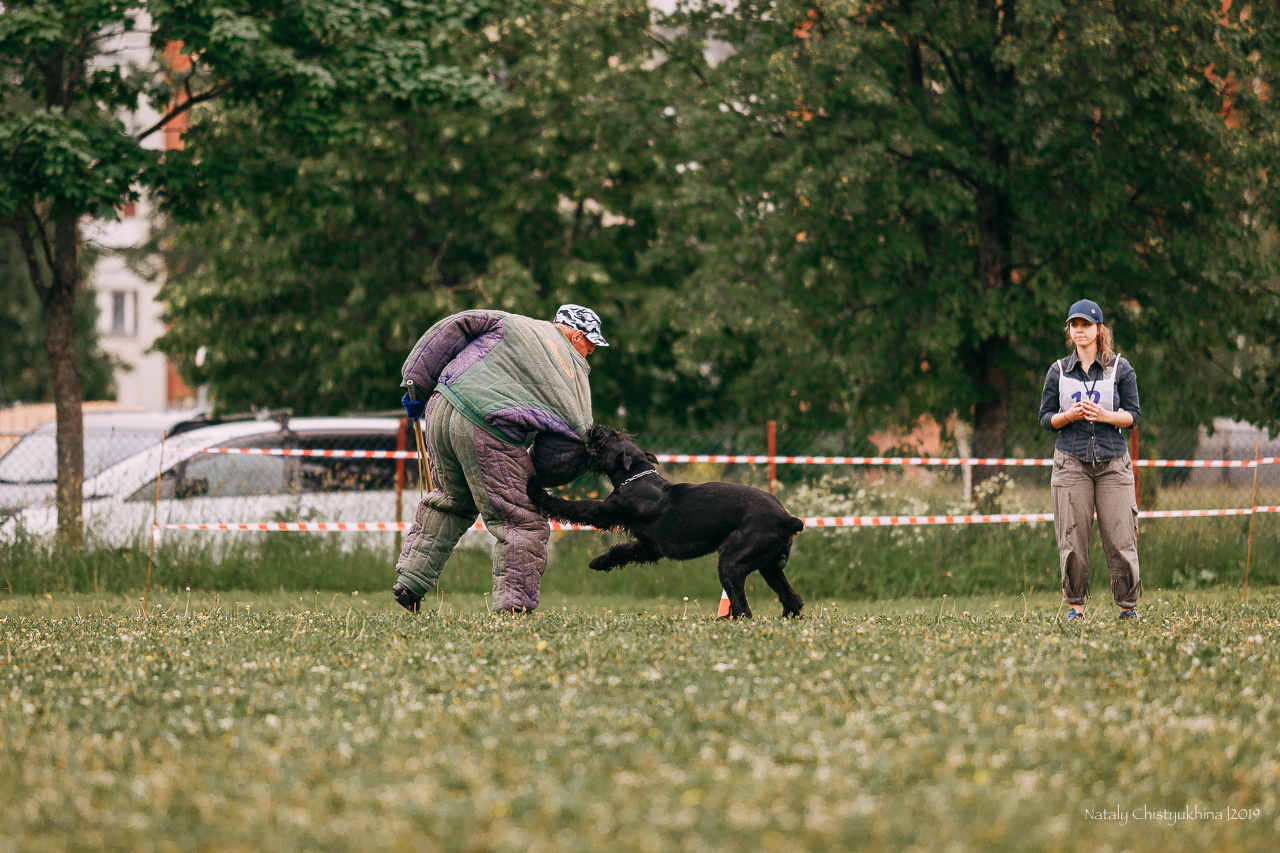 Соревнования БРР. Фотограф-анималист Наталия Чистюхина в г. Сосновый Бор и ЛО
