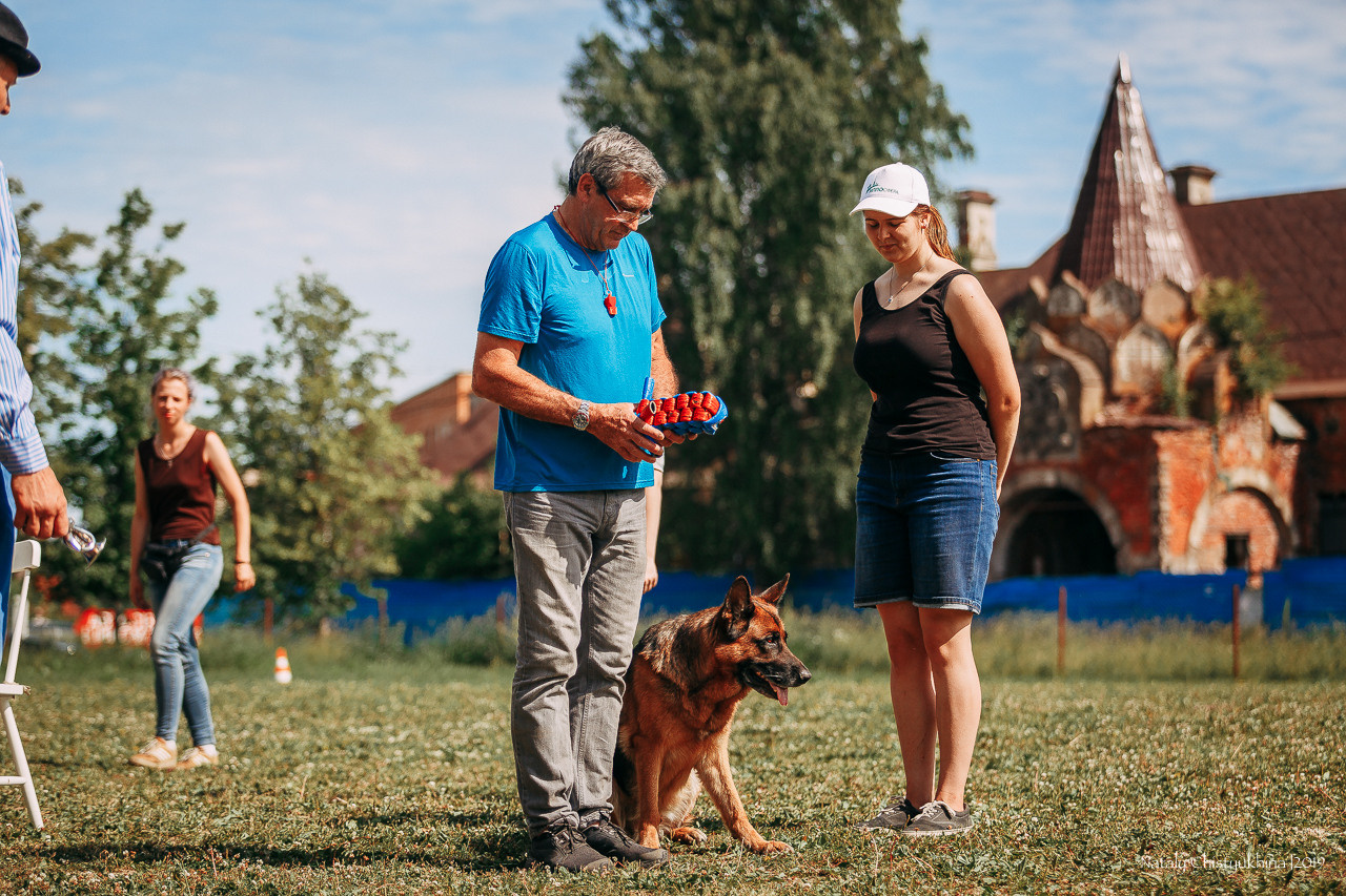 Соревнования по мондьорингу. Фотограф-анималист Наталия Чистюхина в г. Сосновый Бор и ЛО