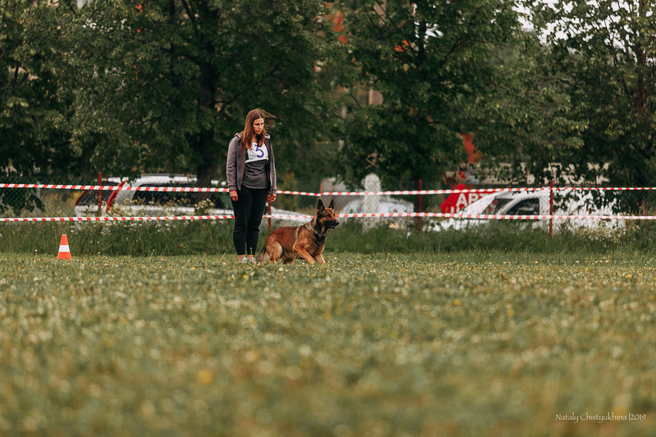 Соревнования БРР. Фотограф-анималист Наталия Чистюхина в г. Сосновый Бор и ЛО