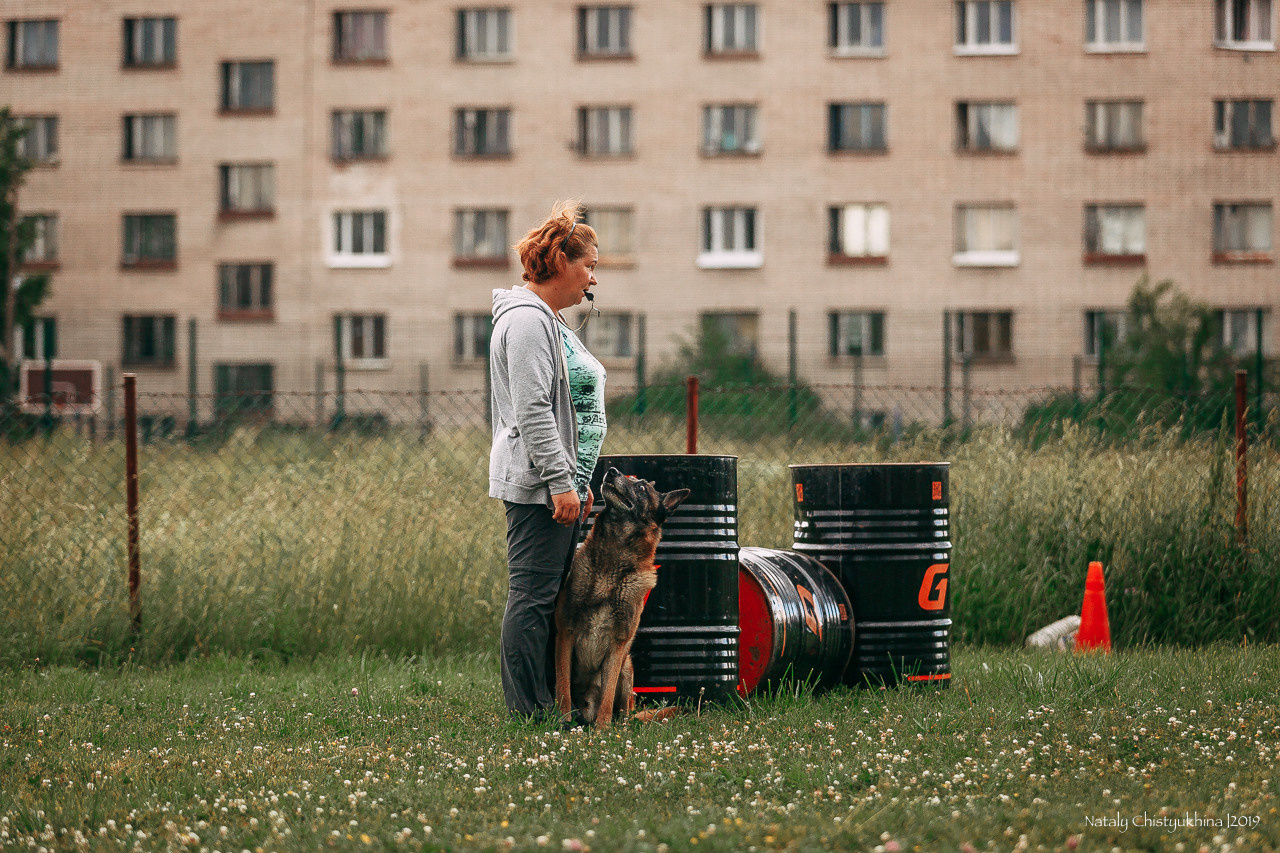 Соревнования по мондьорингу. Фотограф-анималист Наталия Чистюхина в г. Сосновый Бор и ЛО