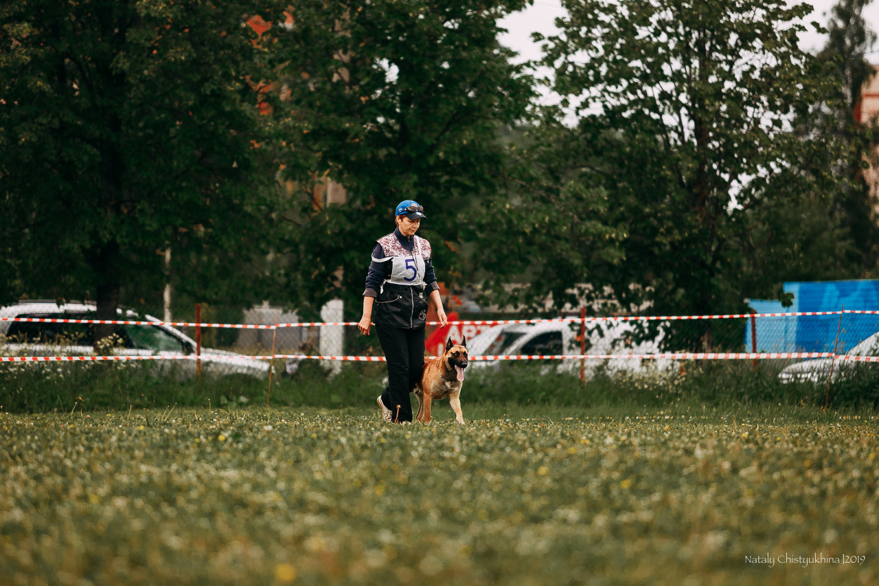 Соревнования БРР. Фотограф-анималист Наталия Чистюхина в г. Сосновый Бор и ЛО