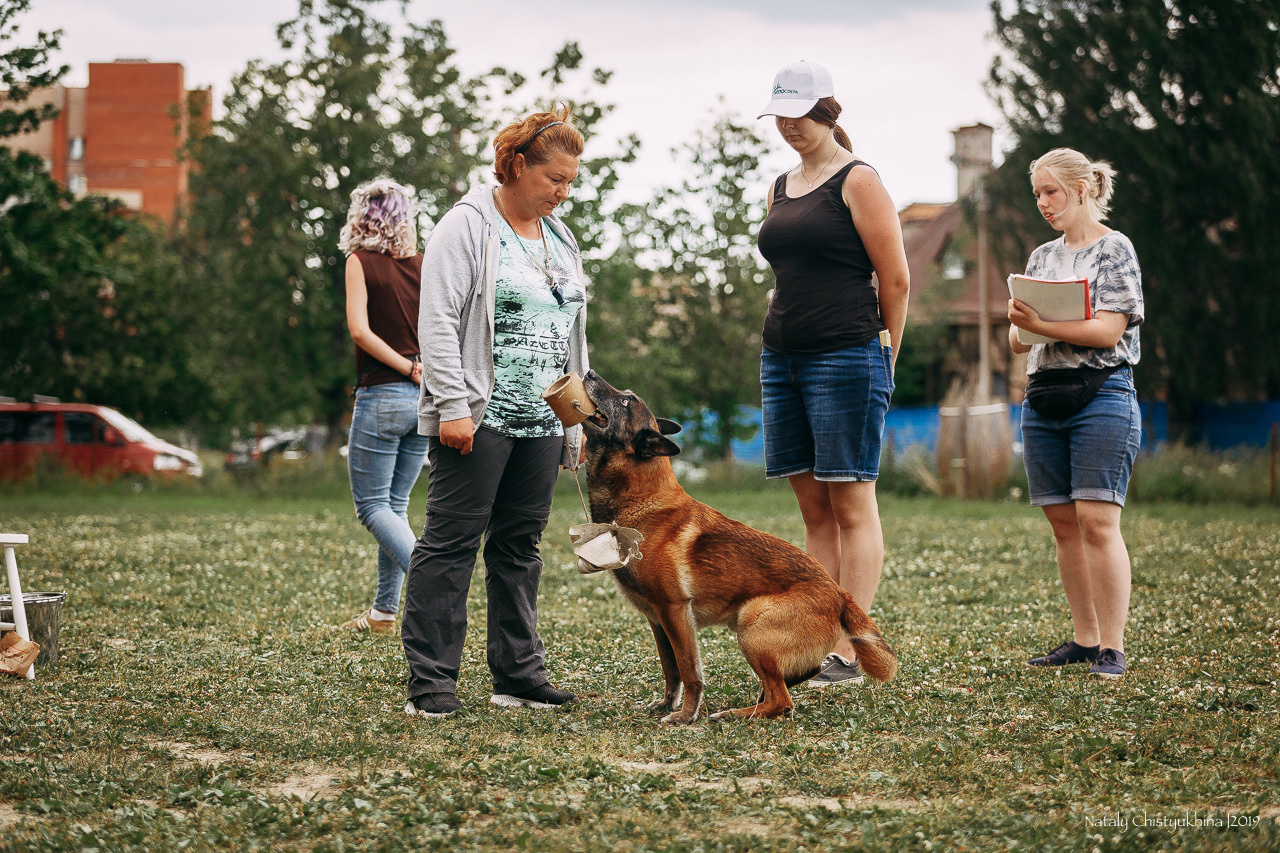 Соревнования по мондьорингу. Фотограф-анималист Наталия Чистюхина в г. Сосновый Бор и ЛО