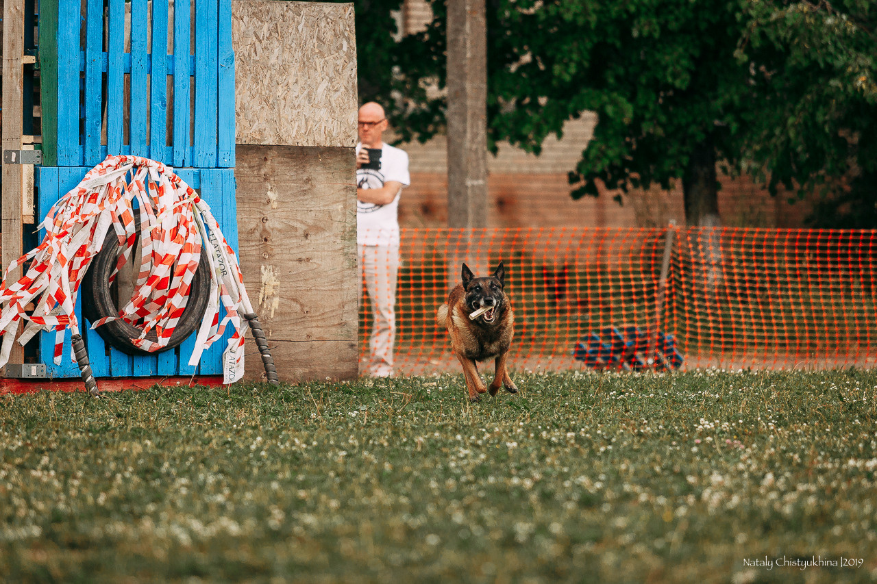 Соревнования по мондьорингу. Фотограф-анималист Наталия Чистюхина в г. Сосновый Бор и ЛО