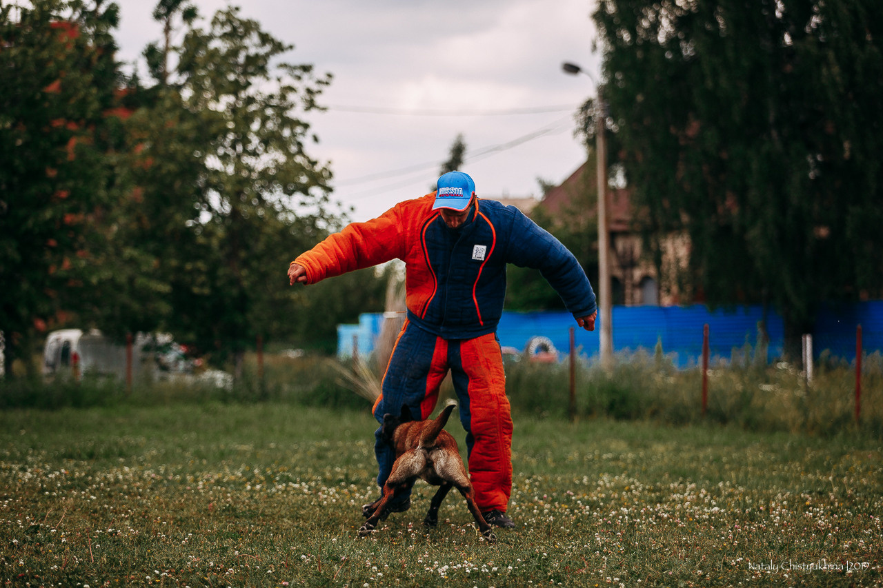 Соревнования по мондьорингу. Фотограф-анималист Наталия Чистюхина в г. Сосновый Бор и ЛО