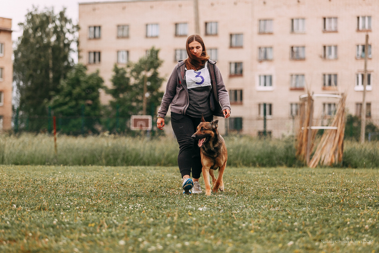 Соревнования БРР. Фотограф-анималист Наталия Чистюхина в г. Сосновый Бор и ЛО