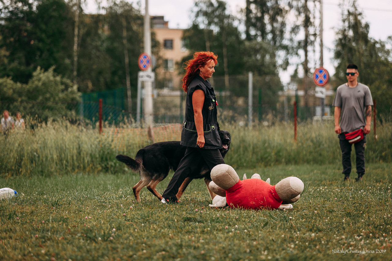 Соревнования по мондьорингу. Фотограф-анималист Наталия Чистюхина в г. Сосновый Бор и ЛО