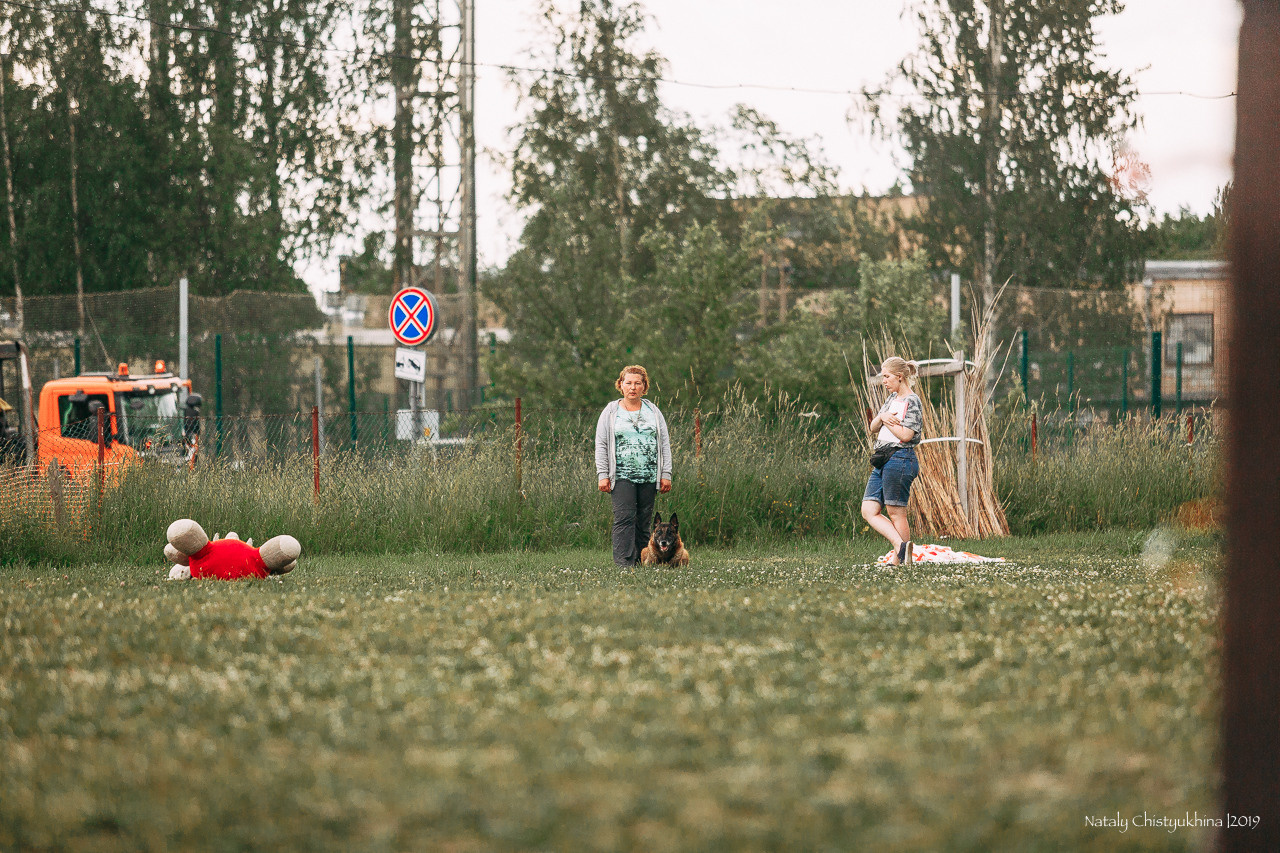Соревнования по мондьорингу. Фотограф-анималист Наталия Чистюхина в г. Сосновый Бор и ЛО