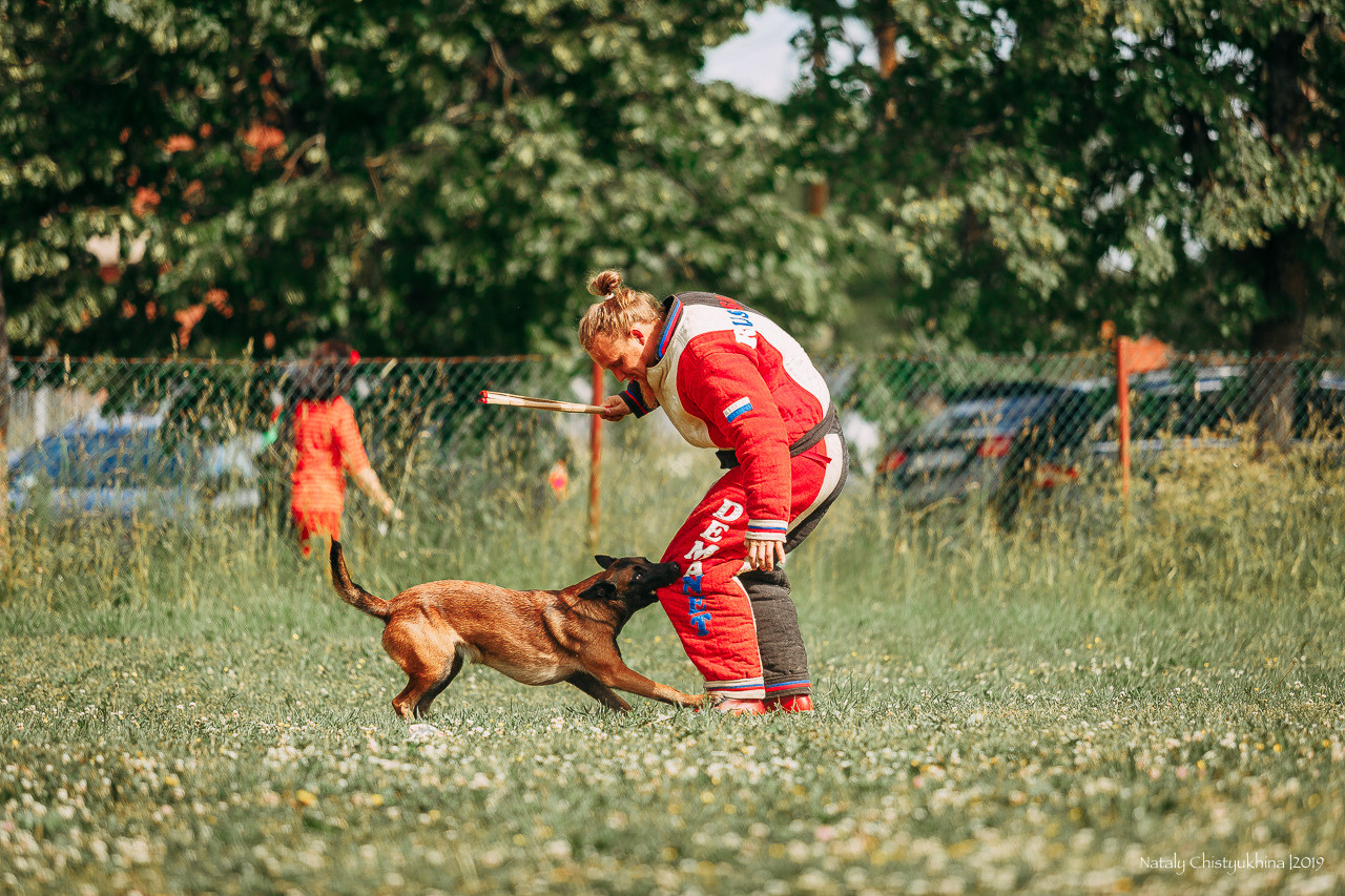 Соревнования по мондьорингу. Фотограф-анималист Наталия Чистюхина в г. Сосновый Бор и ЛО