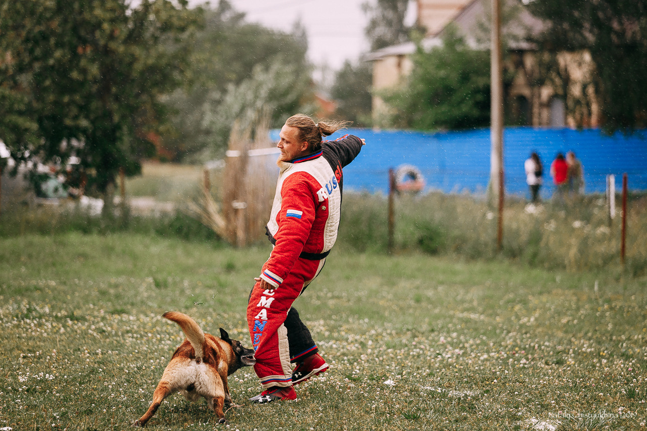 Соревнования по мондьорингу. Фотограф-анималист Наталия Чистюхина в г. Сосновый Бор и ЛО