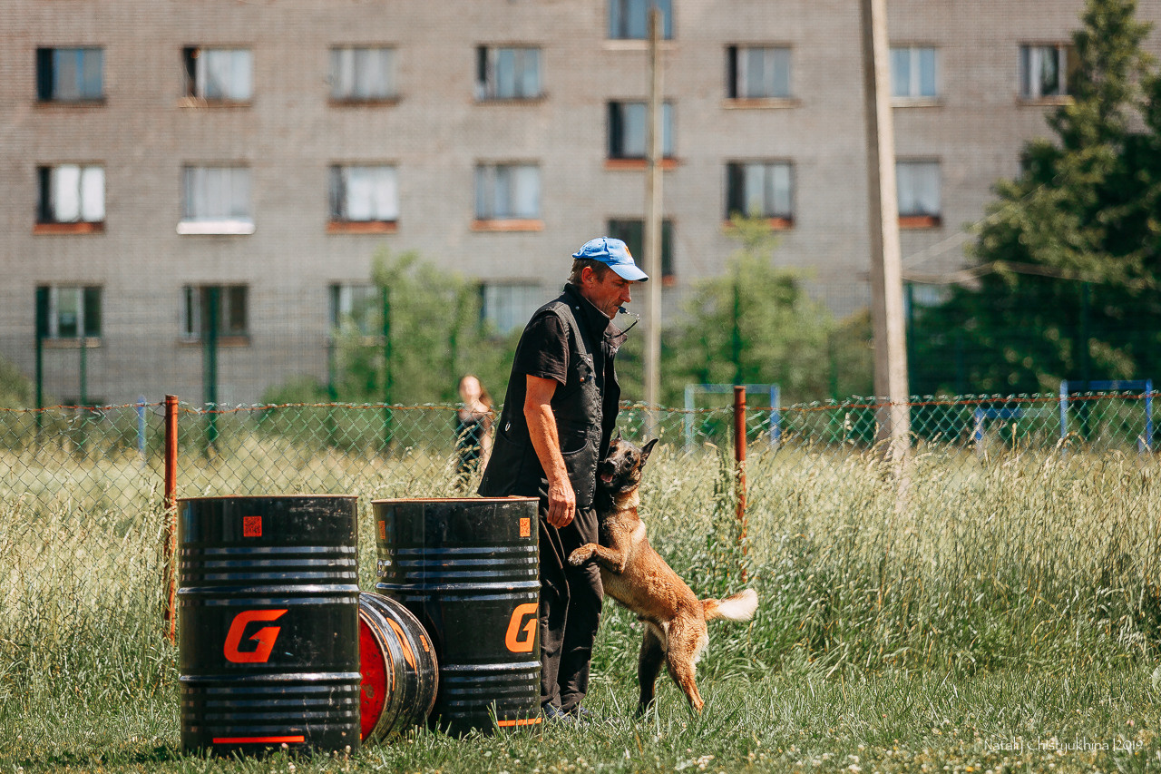 Соревнования по мондьорингу. Фотограф-анималист Наталия Чистюхина в г. Сосновый Бор и ЛО