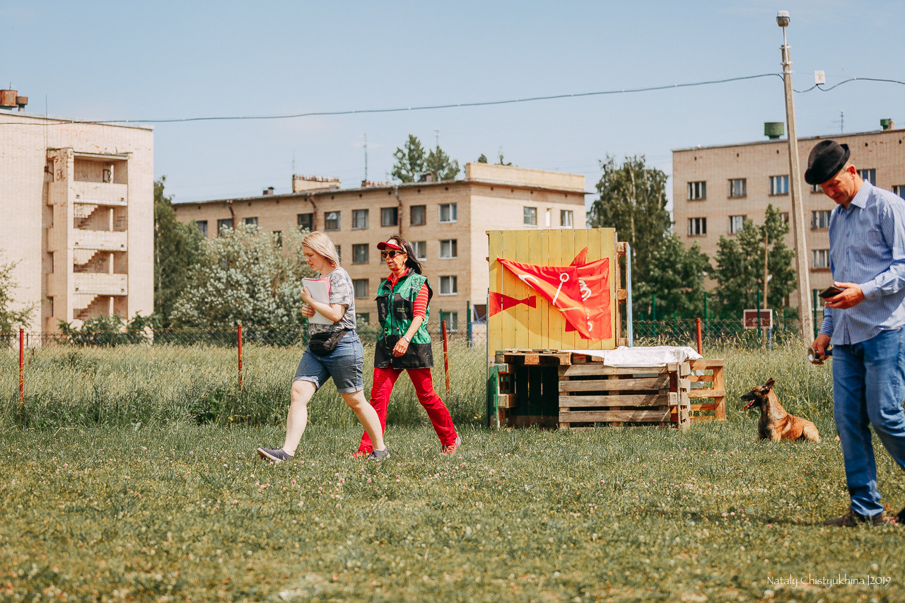 Соревнования по мондьорингу. Фотограф-анималист Наталия Чистюхина в г. Сосновый Бор и ЛО