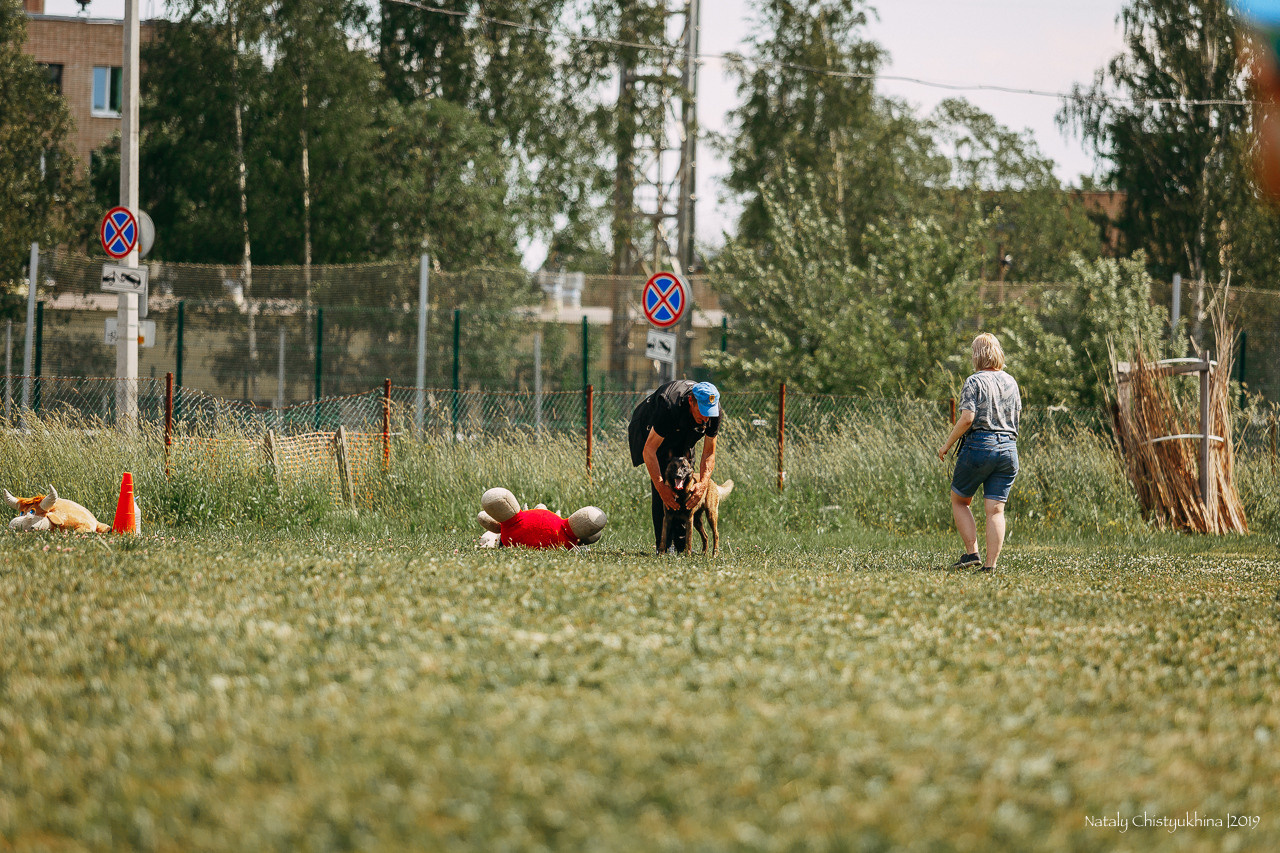 Соревнования по мондьорингу. Фотограф-анималист Наталия Чистюхина в г. Сосновый Бор и ЛО