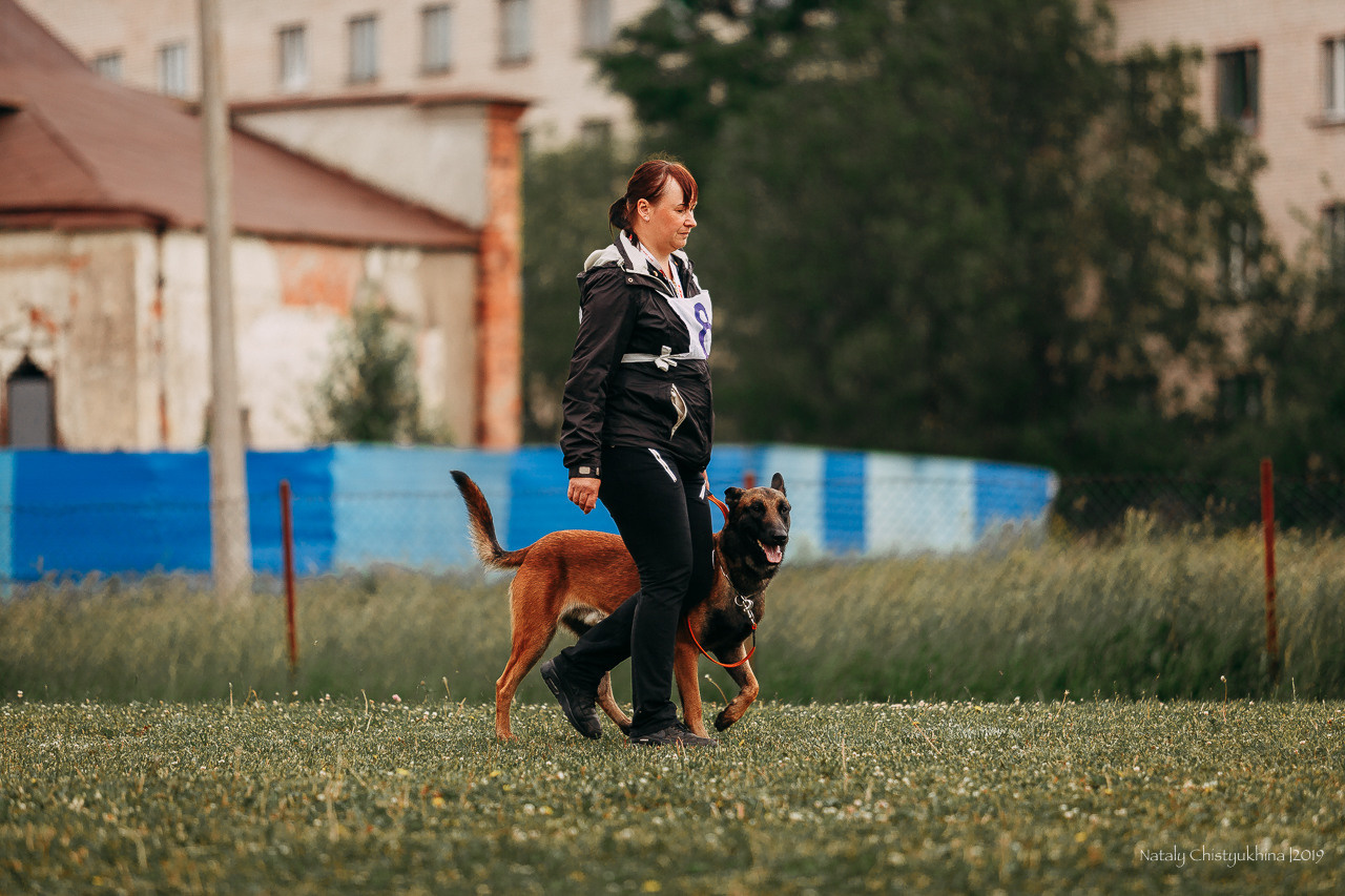 Соревнования БРР. Фотограф-анималист Наталия Чистюхина в г. Сосновый Бор и ЛО