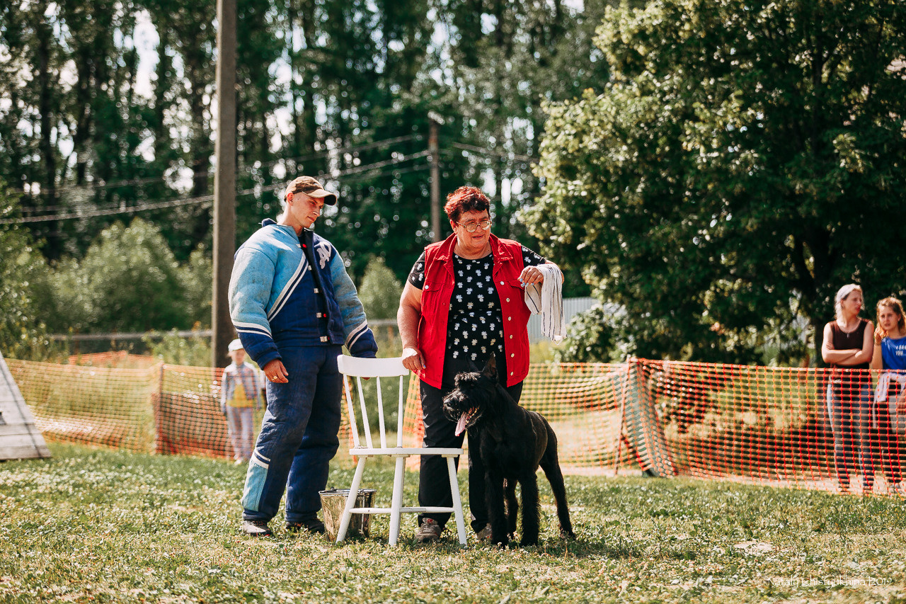 Соревнования по мондьорингу. Фотограф-анималист Наталия Чистюхина в г. Сосновый Бор и ЛО