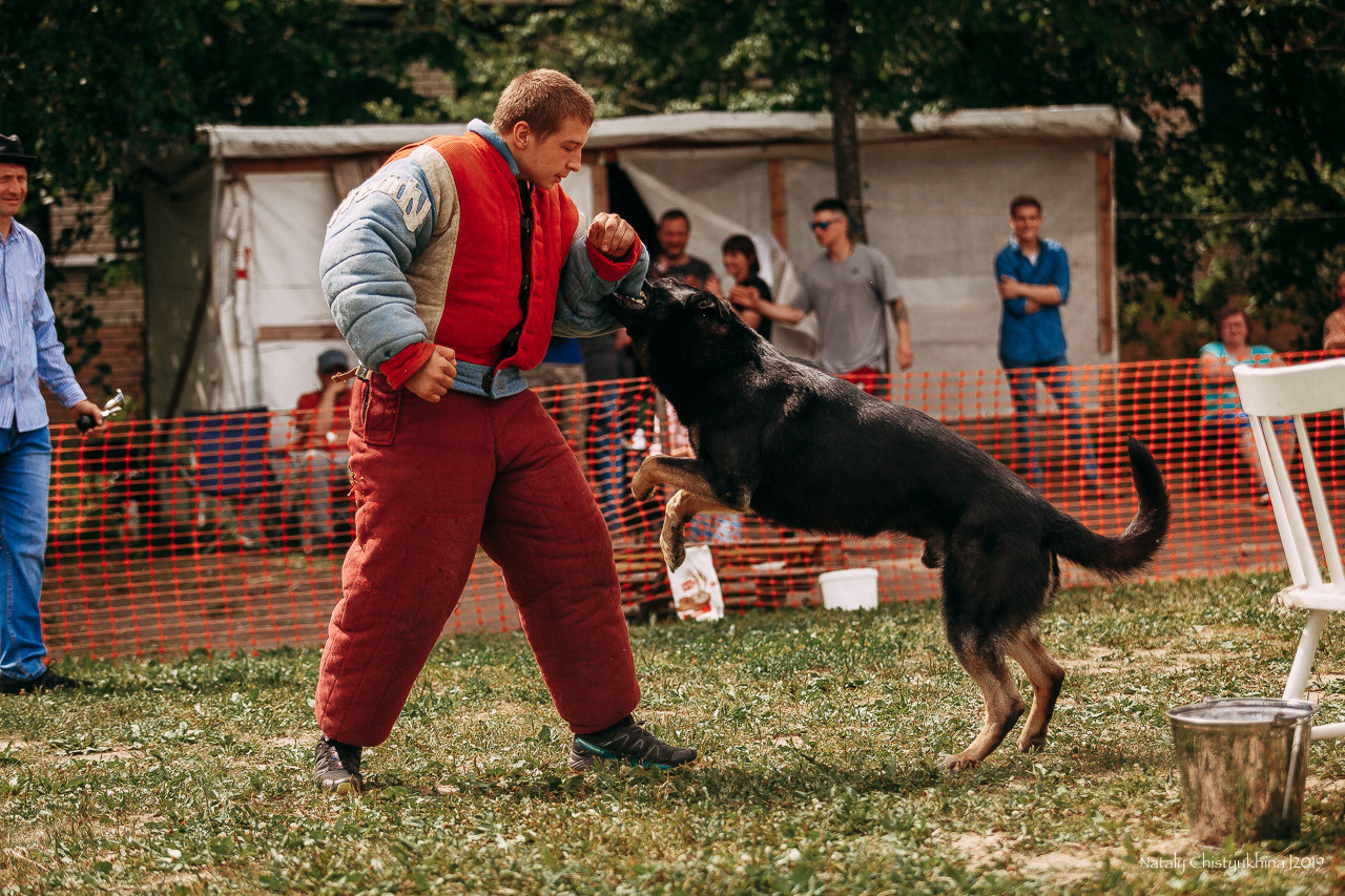 Соревнования по мондьорингу. Фотограф-анималист Наталия Чистюхина в г. Сосновый Бор и ЛО