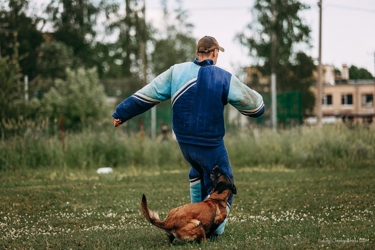 Соревнования по мондьорингу. Фотограф-анималист Наталия Чистюхина в г. Сосновый Бор и ЛО