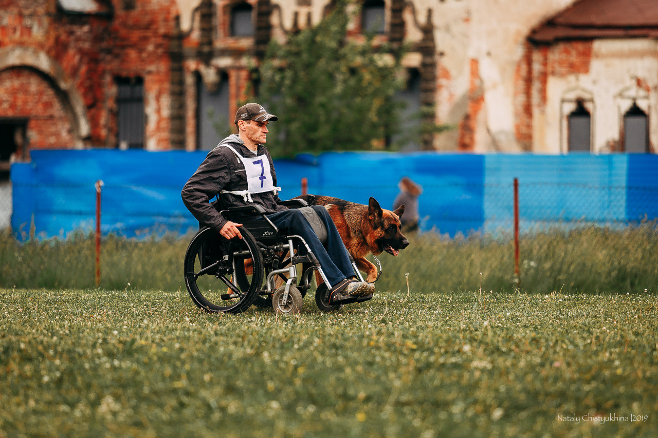 Соревнования БРР. Фотограф-анималист Наталия Чистюхина в г. Сосновый Бор и ЛО