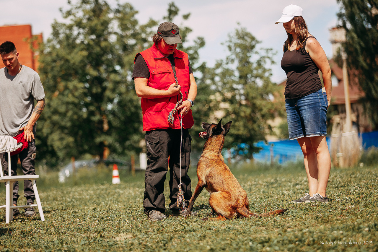 Соревнования по мондьорингу. Фотограф-анималист Наталия Чистюхина в г. Сосновый Бор и ЛО