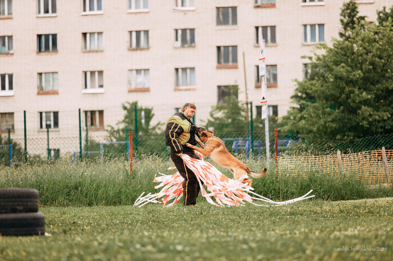 Соревнования БРР. Фотограф-анималист Наталия Чистюхина в г. Сосновый Бор и ЛО