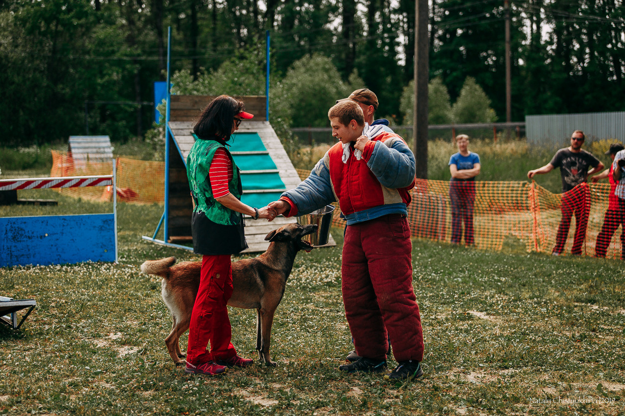 Соревнования по мондьорингу. Фотограф-анималист Наталия Чистюхина в г. Сосновый Бор и ЛО