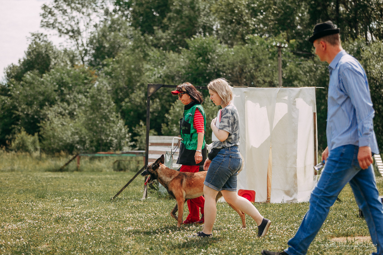 Соревнования по мондьорингу. Фотограф-анималист Наталия Чистюхина в г. Сосновый Бор и ЛО