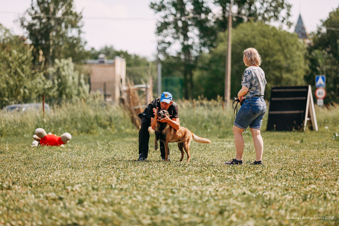 Соревнования по мондьорингу. Фотограф-анималист Наталия Чистюхина в г. Сосновый Бор и ЛО