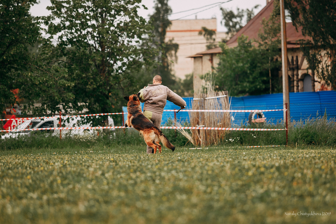 Соревнования БРР. Фотограф-анималист Наталия Чистюхина в г. Сосновый Бор и ЛО
