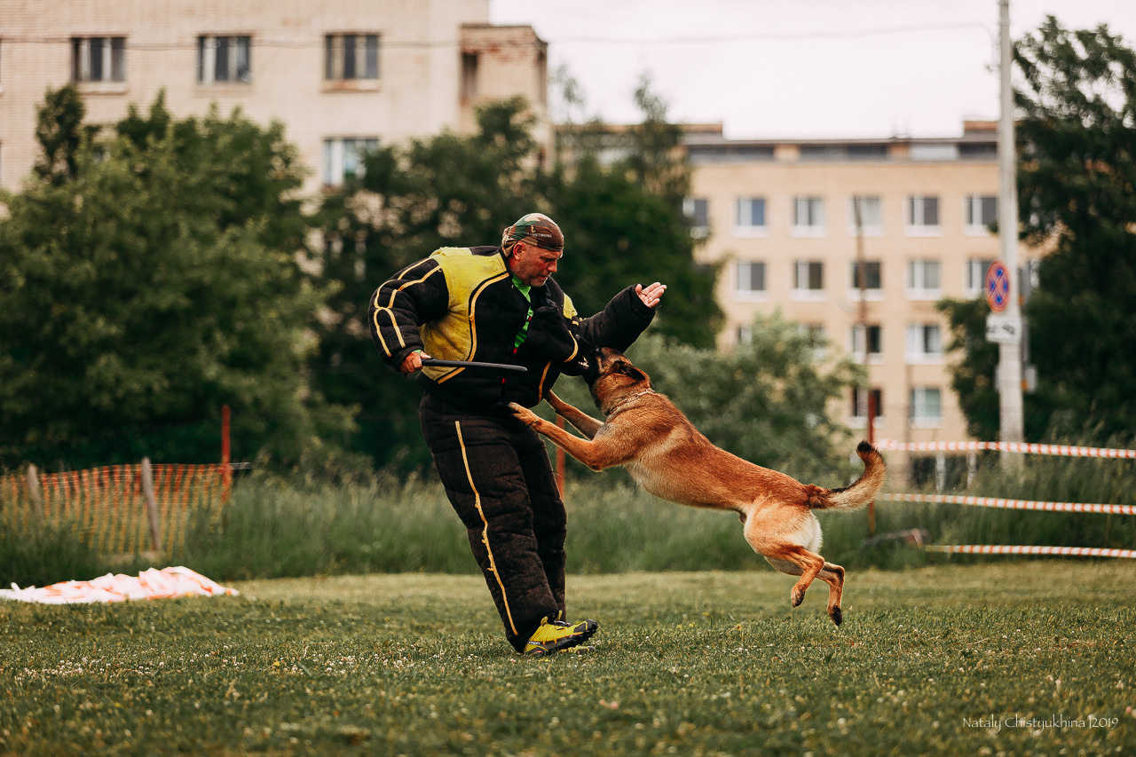 Соревнования БРР. Фотограф-анималист Наталия Чистюхина в г. Сосновый Бор и ЛО