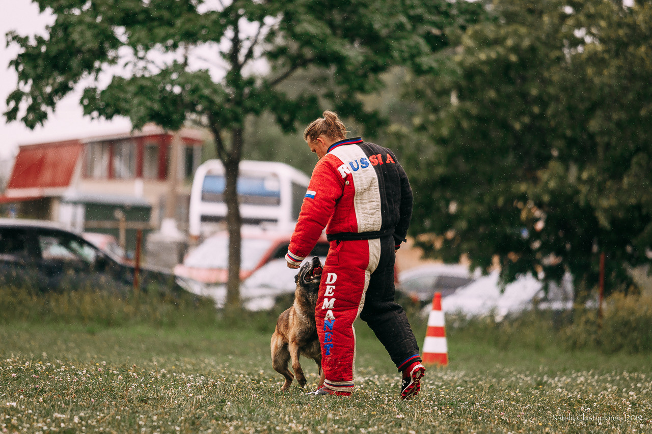Соревнования по мондьорингу. Фотограф-анималист Наталия Чистюхина в г. Сосновый Бор и ЛО